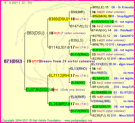 Pedigree of B71(DSU) :
four generations presented
it's temporarily unavailable, sorry!