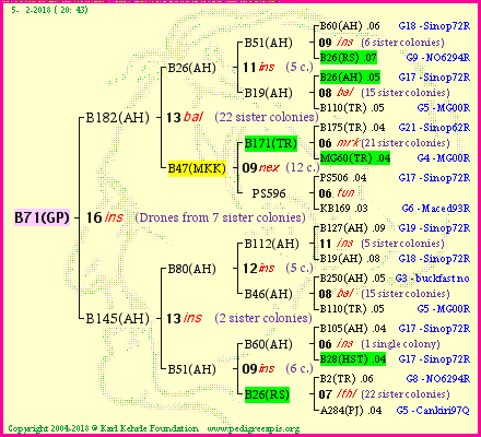 Pedigree of B71(GP) :
four generations presented
it's temporarily unavailable, sorry!