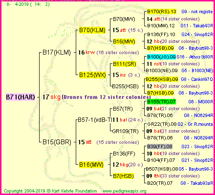 Pedigree of B71(HAR) :
four generations presented<br />it's temporarily unavailable, sorry!