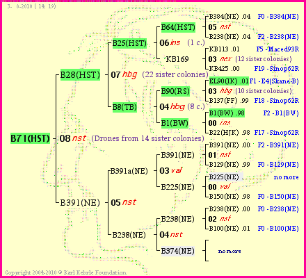 Pedigree of B71(HST) :
four generations presented