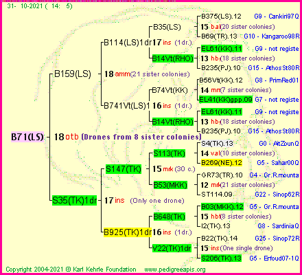 Pedigree of B71(LS) :
four generations presented
it's temporarily unavailable, sorry!