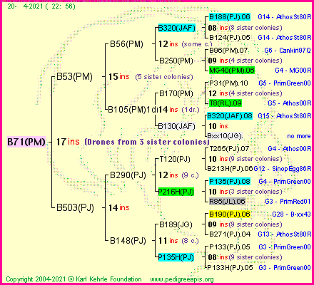 Pedigree of B71(PM) :
four generations presented
it's temporarily unavailable, sorry!