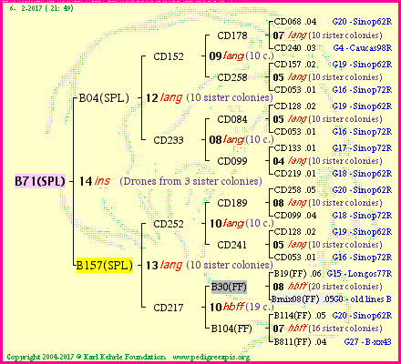 Pedigree of B71(SPL) :
four generations presented<br />it's temporarily unavailable, sorry!