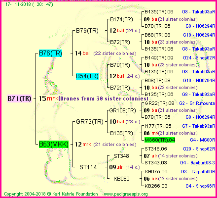 Pedigree of B71(TR) :
four generations presented<br />it's temporarily unavailable, sorry!