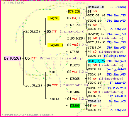 Pedigree of B710(ZG) :
four generations presented