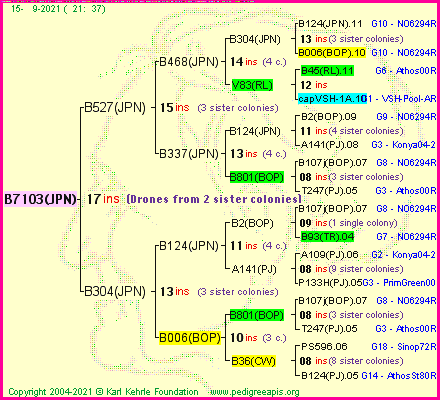 Pedigree of B7103(JPN) :
four generations presented
it's temporarily unavailable, sorry!