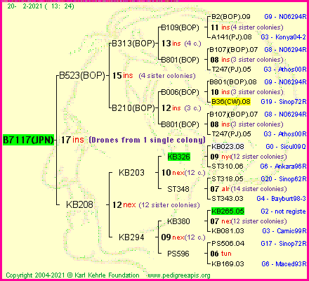 Pedigree of B7117(JPN) :
four generations presented
it's temporarily unavailable, sorry!