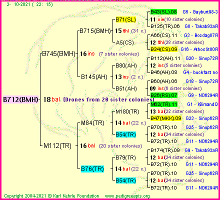 Pedigree of B712(BMH) :
four generations presented
it's temporarily unavailable, sorry!