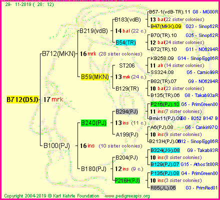 Pedigree of B712(DSJ) :
four generations presented<br />it's temporarily unavailable, sorry!