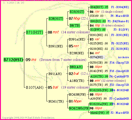 Pedigree of B712(HST) :
four generations presented