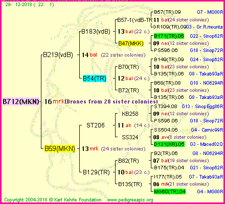 Pedigree of B712(MKN) :
four generations presented<br />it's temporarily unavailable, sorry!