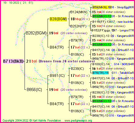 Pedigree of B713(BKB) :
four generations presented
it's temporarily unavailable, sorry!