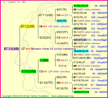 Pedigree of B713(JtB) :
four generations presented<br />it's temporarily unavailable, sorry!