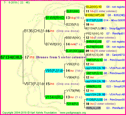 Pedigree of B7134(CHU) :
four generations presented
it's temporarily unavailable, sorry!