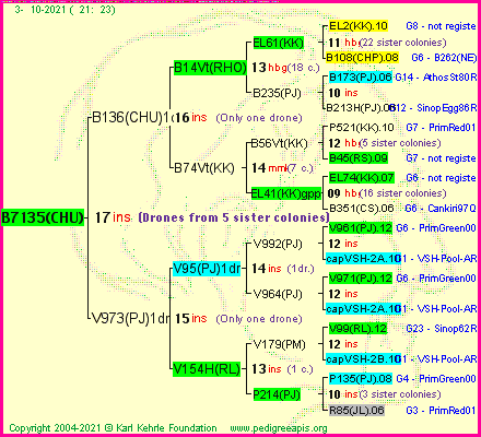 Pedigree of B7135(CHU) :
four generations presented
it's temporarily unavailable, sorry!