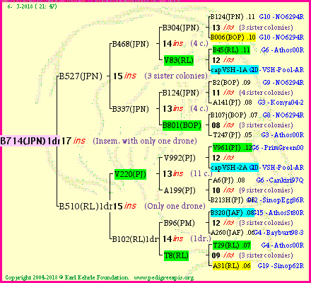 Pedigree of B714(JPN)1dr :
four generations presented<br />it's temporarily unavailable, sorry!