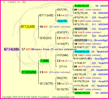 Pedigree of B714(JtB) :
four generations presented<br />it's temporarily unavailable, sorry!