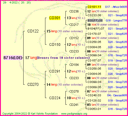 Pedigree of B716(LDE) :
four generations presented
it's temporarily unavailable, sorry!