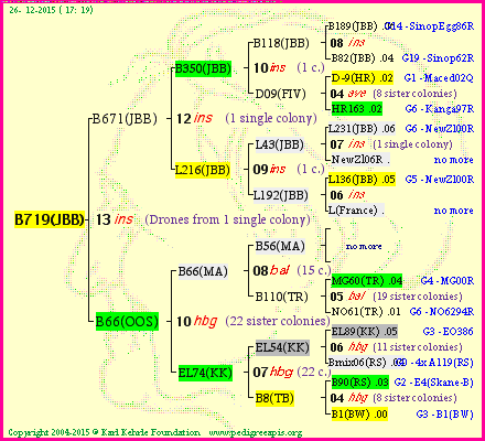 Pedigree of B719(JBB) :
four generations presented