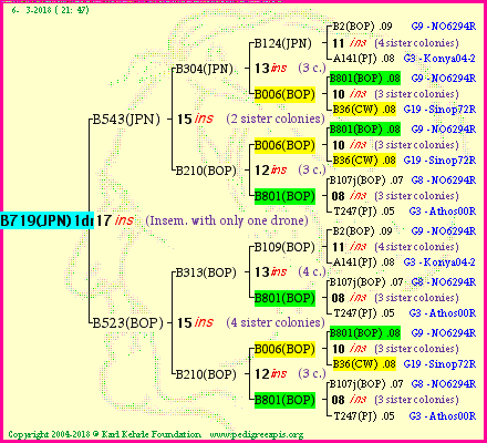 Pedigree of B719(JPN)1dr :
four generations presented<br />it's temporarily unavailable, sorry!