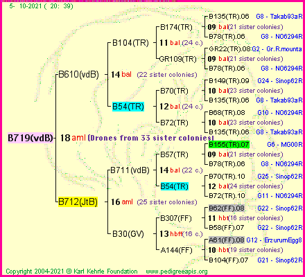 Pedigree of B719(vdB) :
four generations presented
it's temporarily unavailable, sorry!