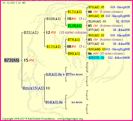 Pedigree of B72(AS) :
four generations presented