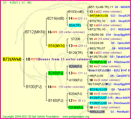 Pedigree of B72(AVM) :
four generations presented
it's temporarily unavailable, sorry!