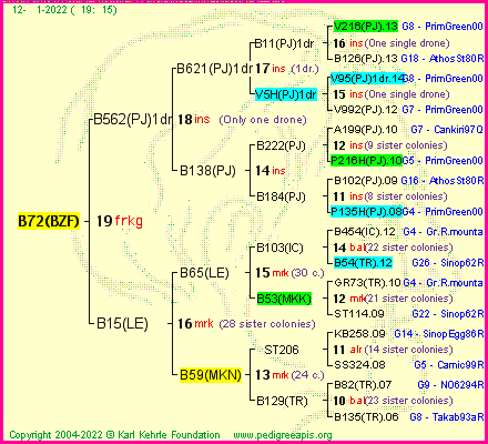 Pedigree of B72(BZF) :
four generations presented
it's temporarily unavailable, sorry!