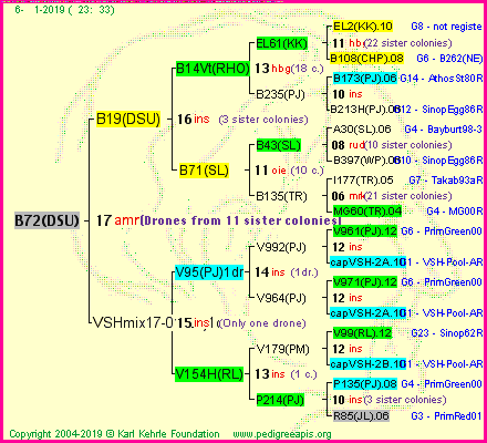 Pedigree of B72(DSU) :
four generations presented
it's temporarily unavailable, sorry!