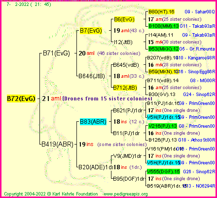 Pedigree of B72(EvG) :
four generations presented
it's temporarily unavailable, sorry!