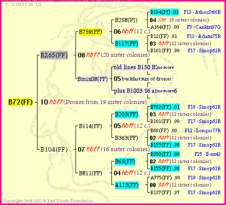 Pedigree of B72(FF) :
four generations presented