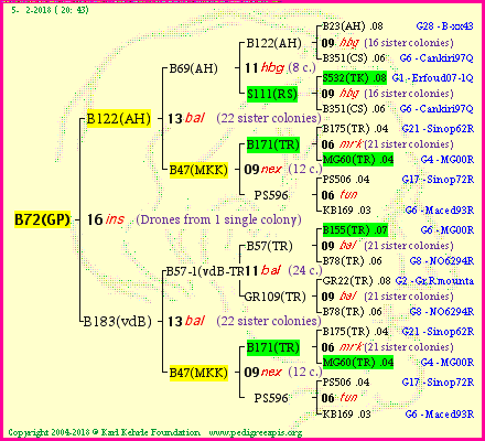 Pedigree of B72(GP) :
four generations presented
it's temporarily unavailable, sorry!