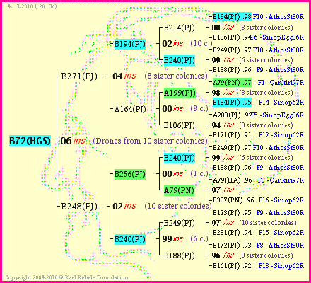 Pedigree of B72(HGS) :
four generations presented