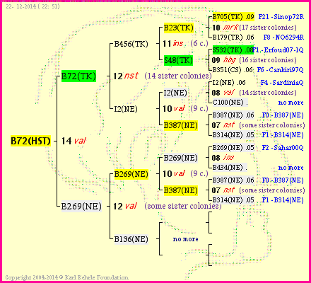 Pedigree of B72(HST) :
four generations presented