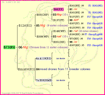 Pedigree of B72(RS) :
four generations presented