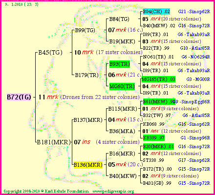 Pedigree of B72(TG) :
four generations presented<br />it's temporarily unavailable, sorry!