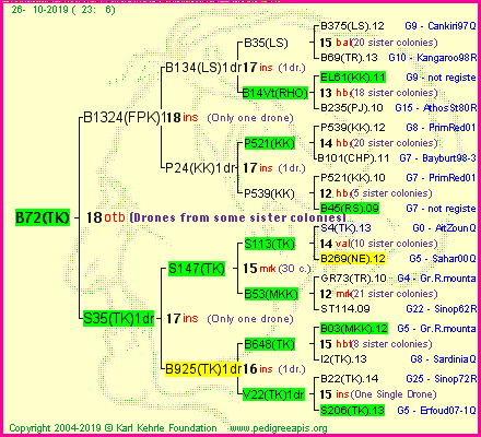 Pedigree of B72(TK) :
four generations presented<br />it's temporarily unavailable, sorry!