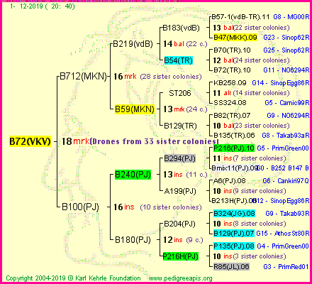 Pedigree of B72(VKV) :
four generations presented
it's temporarily unavailable, sorry!