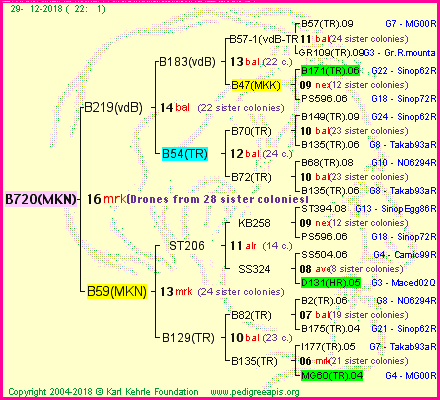 Pedigree of B720(MKN) :
four generations presented<br />it's temporarily unavailable, sorry!