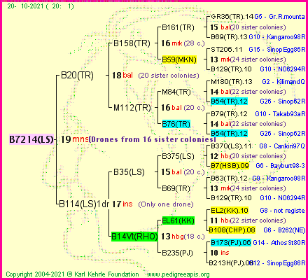 Pedigree of B7214(LS) :
four generations presented
it's temporarily unavailable, sorry!