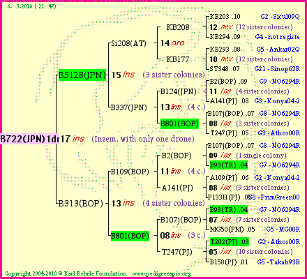 Pedigree of B722(JPN)1dr :
four generations presented<br />it's temporarily unavailable, sorry!