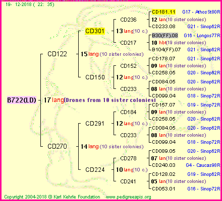 Pedigree of B722(LD) :
four generations presented<br />it's temporarily unavailable, sorry!