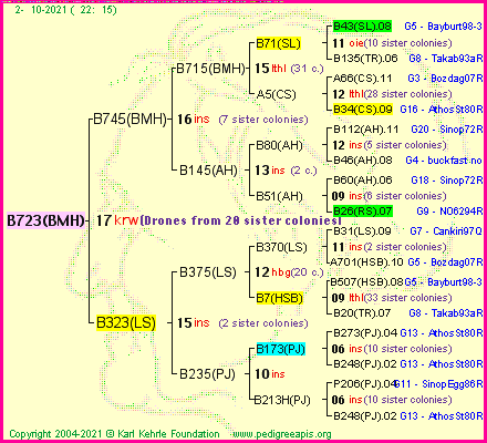 Pedigree of B723(BMH) :
four generations presented
it's temporarily unavailable, sorry!