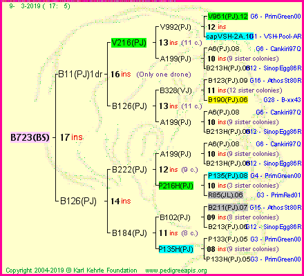 Pedigree of B723(BS) :
four generations presented
it's temporarily unavailable, sorry!