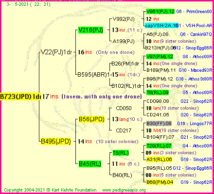 Pedigree of B723(JPD)1dr :
four generations presented
it's temporarily unavailable, sorry!