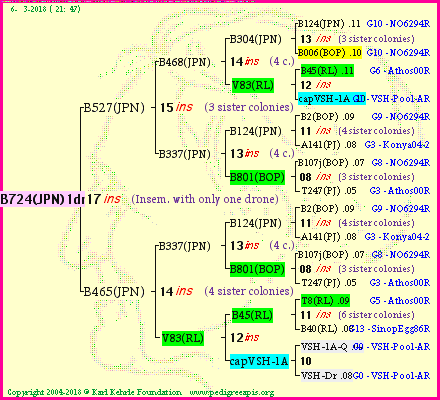 Pedigree of B724(JPN)1dr :
four generations presented<br />it's temporarily unavailable, sorry!