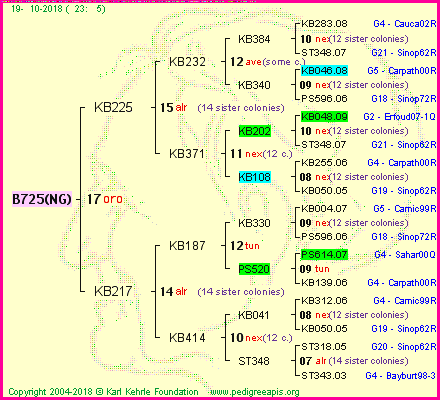 Pedigree of B725(NG) :
four generations presented<br />it's temporarily unavailable, sorry!