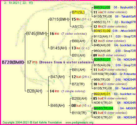 Pedigree of B728(BMH) :
four generations presented
it's temporarily unavailable, sorry!