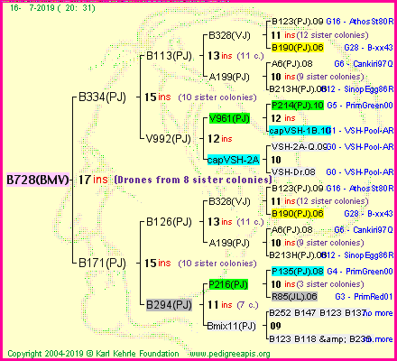 Pedigree of B728(BMV) :
four generations presented<br />it's temporarily unavailable, sorry!