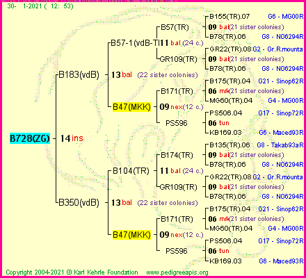 Pedigree of B728(ZG) :
four generations presented
it's temporarily unavailable, sorry!